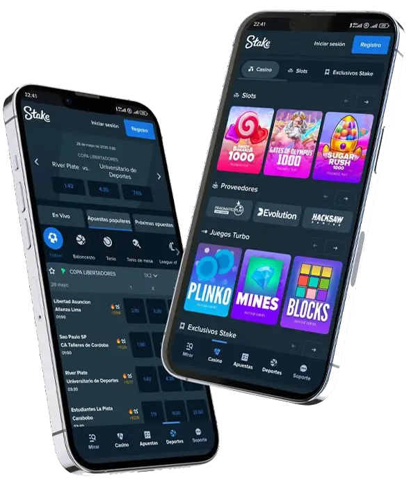 Interface de l'application Stake